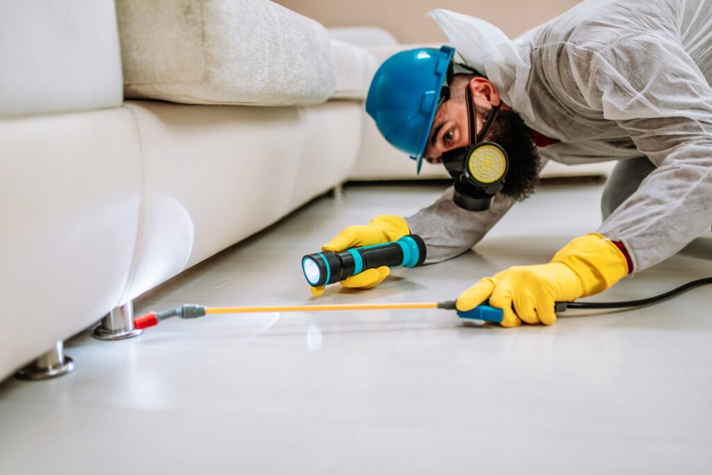 Saratoga Termite Control