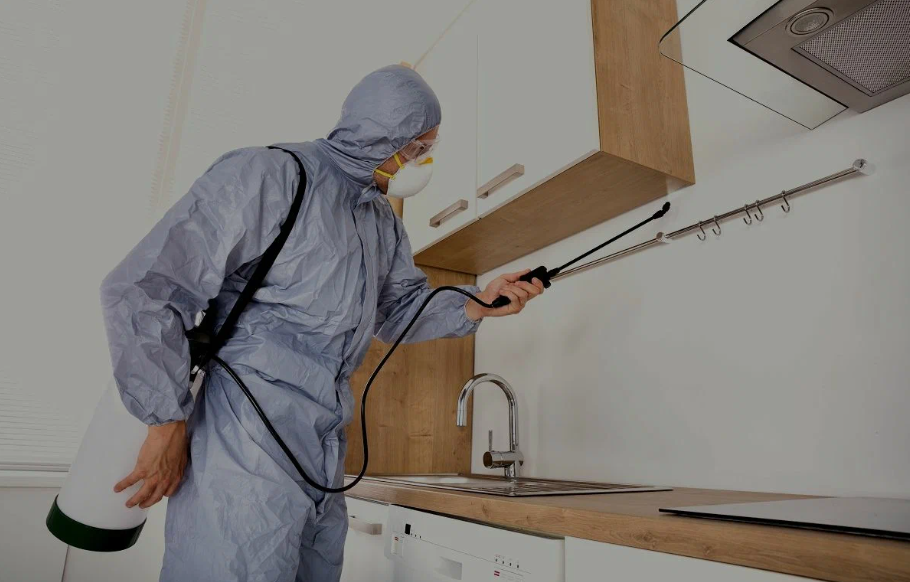 Saratoga pest managment
